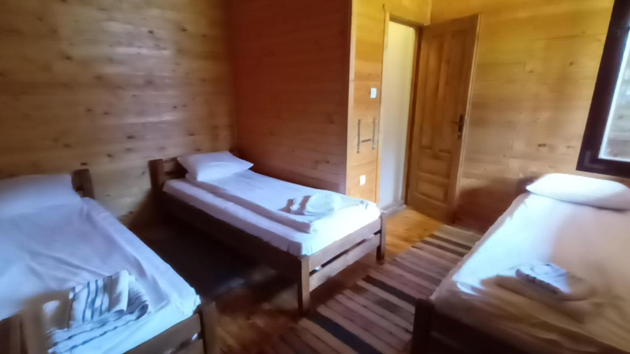 Lolini Bungalovi Novi Sad Esterno foto