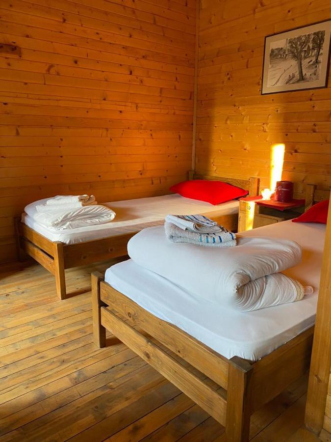 Lolini Bungalovi Novi Sad Esterno foto