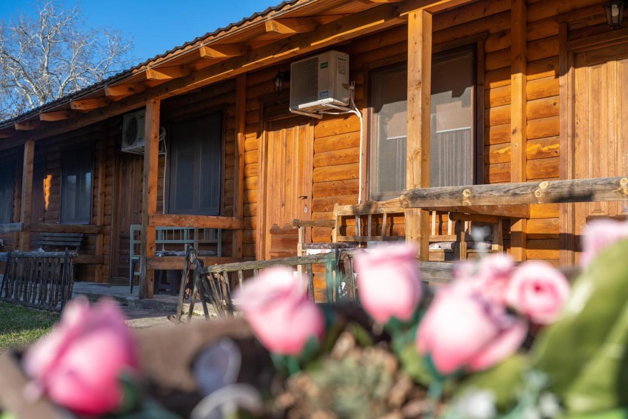 Lolini Bungalovi Novi Sad Esterno foto