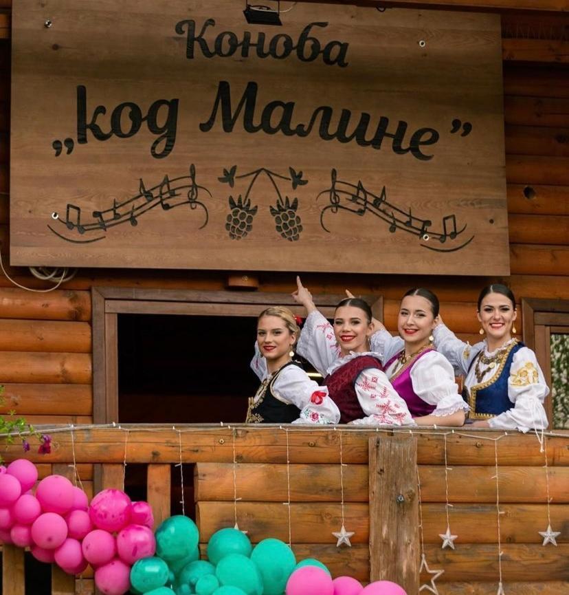 Lolini Bungalovi Novi Sad Esterno foto